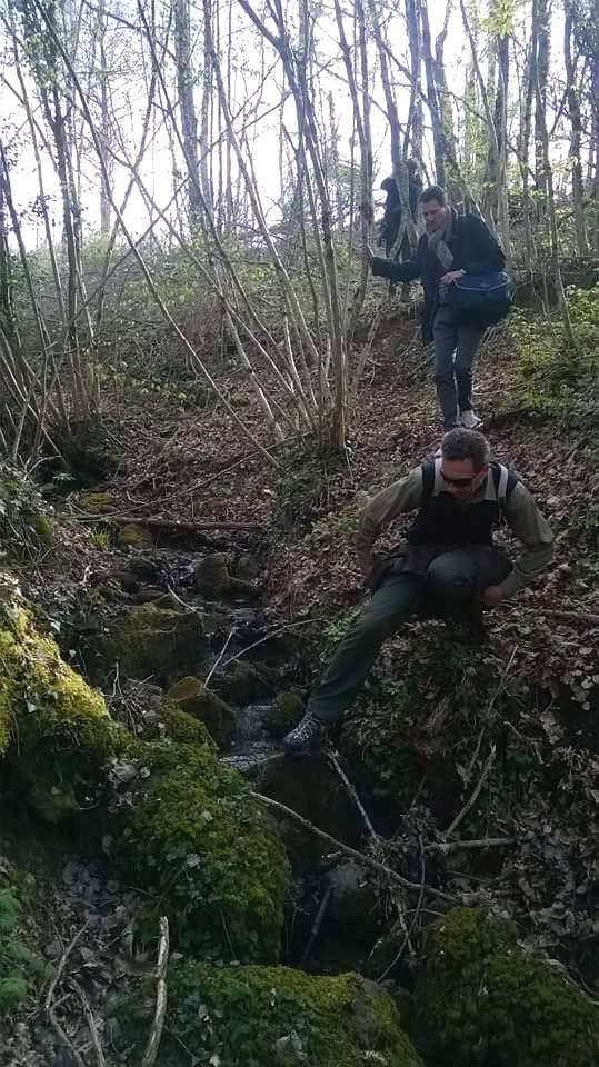 Laghetto di Montieri: biotopo meritevole!